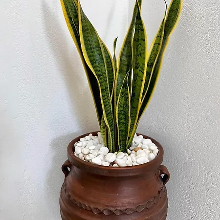 Holiday home Petra Heritage And Hospitality Aperathos