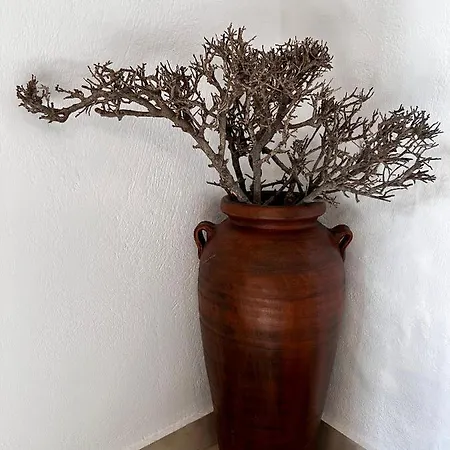 Petra Heritage And Hospitality * Apérathos